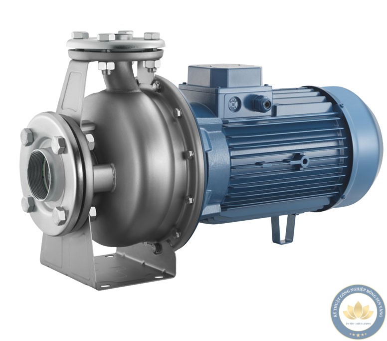 Máy bơm nước gia dụng